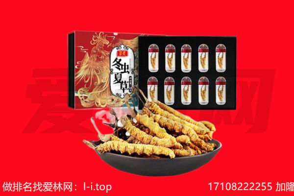 湛江市坡头回收虫草.jpg